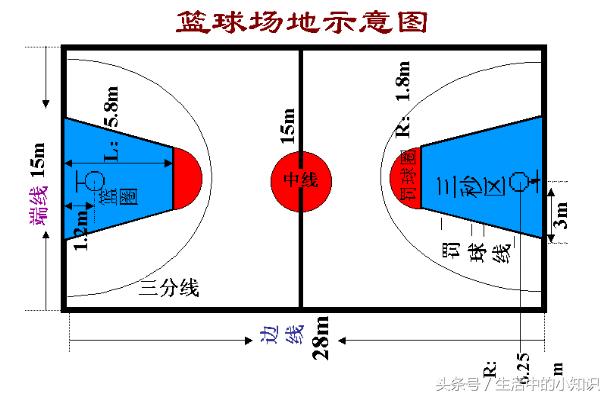 篮球场尺寸揭秘,从专业到日常的全面解析 篮球场尺寸揭秘,从专业到日常的全面解析